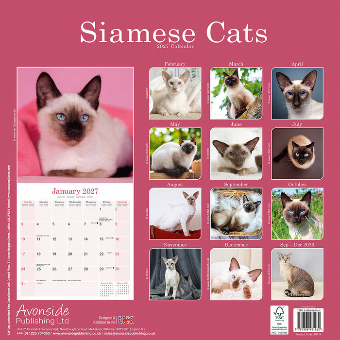 Siamese Cats 2027 Square Wall Calendar