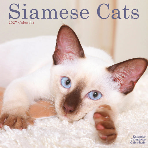 Siamese Cats 2027 Square Wall Calendar