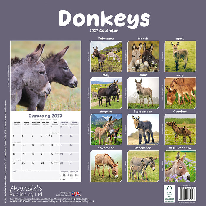 Donkeys 2027 Square Wall Calendar