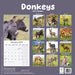 Donkeys 2027 Square Wall Calendar