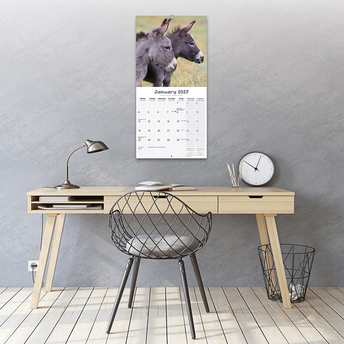 Donkeys 2027 Square Wall Calendar