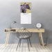 Donkeys 2027 Square Wall Calendar