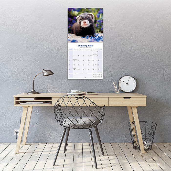 Ferrets 2027 Square Wall Calendar