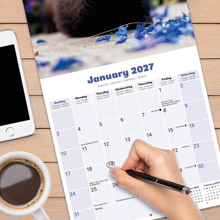 Ferrets 2027 Square Wall Calendar