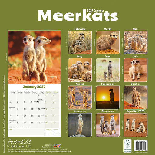 Meerkats 2027 Square Wall Calendar