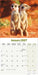 Meerkats 2027 Square Wall Calendar