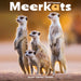 Meerkats 2027 Square Wall Calendar