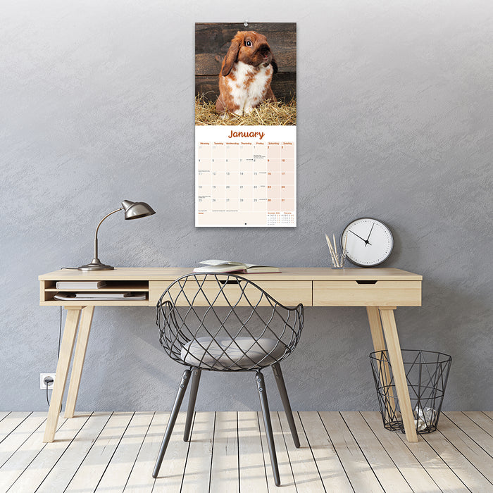 Rabbits Lop Eared 2027 Square Wall Calendar