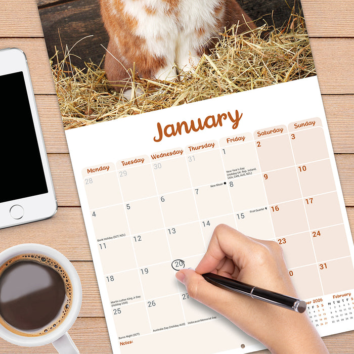 Rabbits Lop Eared 2027 Square Wall Calendar