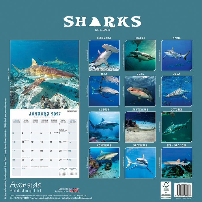 Sharks 2027 Square Wall Calendar