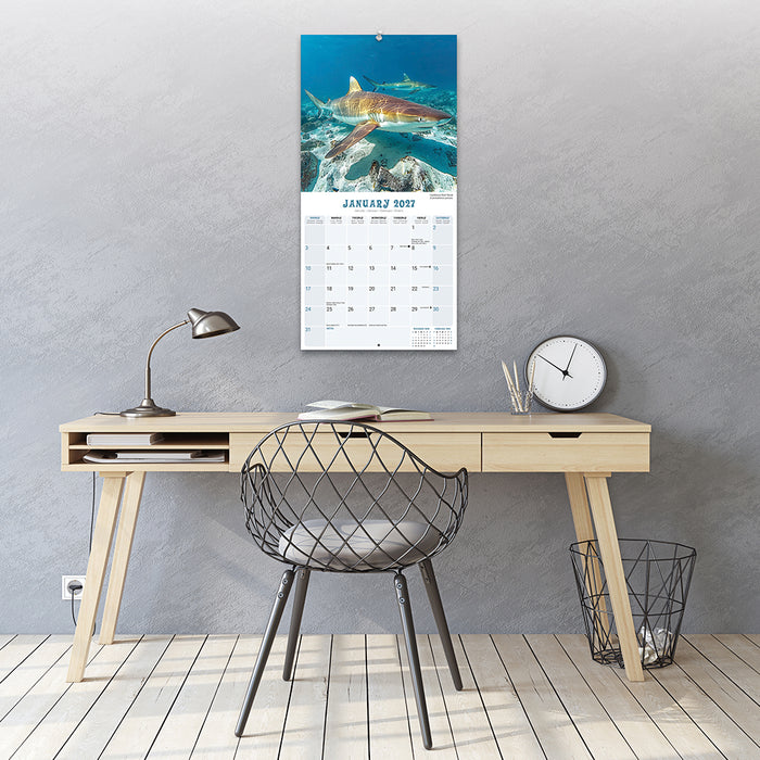 Sharks 2027 Square Wall Calendar