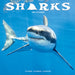 Sharks 2027 Square Wall Calendar