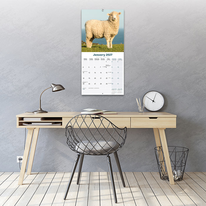 Sheep 2027 Square Wall Calendar