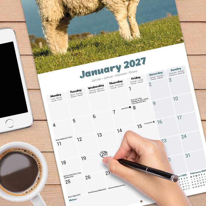 Sheep 2027 Square Wall Calendar
