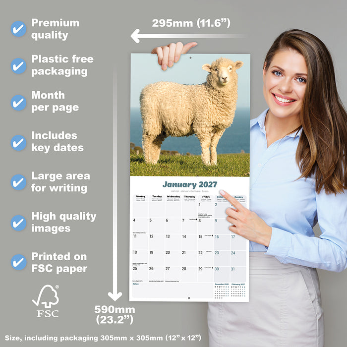 Sheep 2027 Square Wall Calendar
