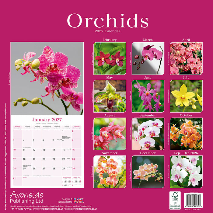 Orchids 2027 Square Wall Calendar