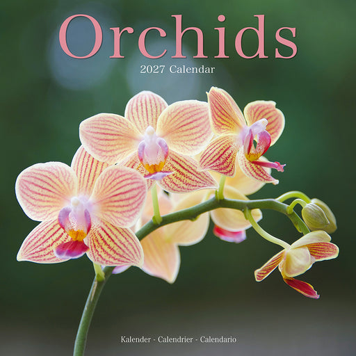 Orchids 2027 Square Wall Calendar