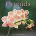 Orchids 2027 Square Wall Calendar