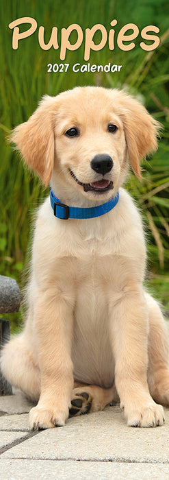 Puppies 2027 Slimline Wall Calendar