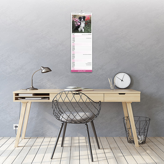 Puppies 2027 Slimline Wall Calendar