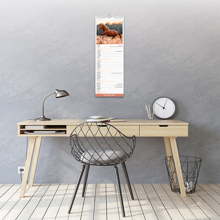 Horses 2027 Slimline Wall Calendar