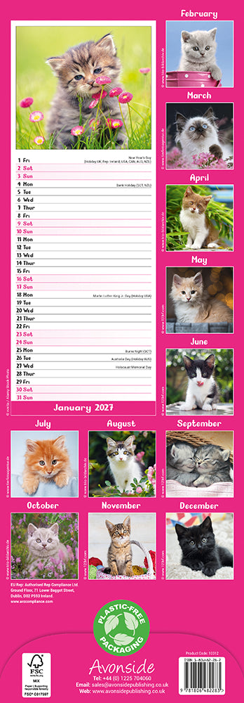 Kittens 2027 Slimline Wall Calendar