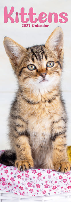 Kittens 2027 Slimline Wall Calendar