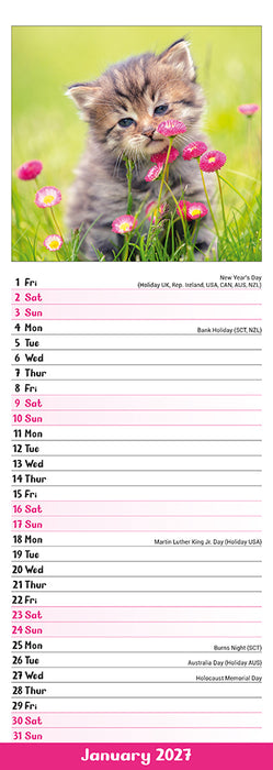 Kittens 2027 Slimline Wall Calendar