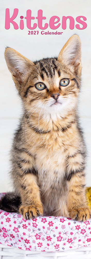 Kittens 2027 Slimline Wall Calendar
