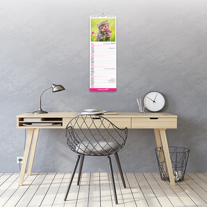 Kittens 2027 Slimline Wall Calendar