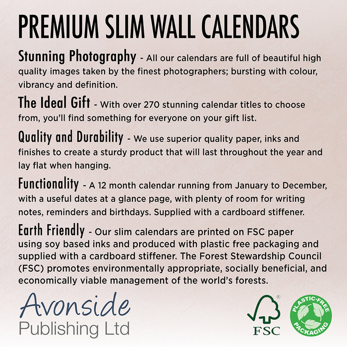 Kittens 2027 Slimline Wall Calendar