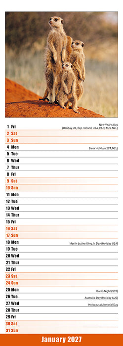 Meerkats 2027 Slimline Wall Calendar