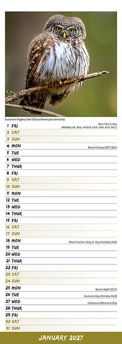 Owls 2027 Slimline Wall Calendar