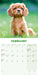Cavalier King Charles Puppies 2027 Mini Wall Calendar