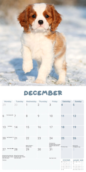 Cavalier King Charles Puppies 2027 Mini Wall Calendar