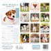 Jack Russell Puppies 2027 Mini Wall Calendar