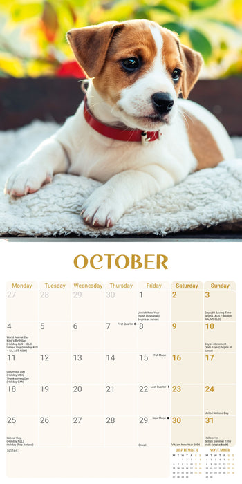 Jack Russell Puppies 2027 Mini Wall Calendar