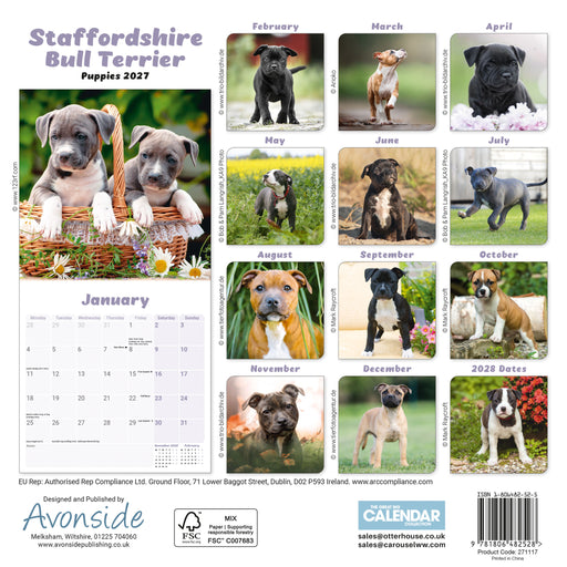 Staffordshire Bull Puppies 2027 Mini Wall Calendar