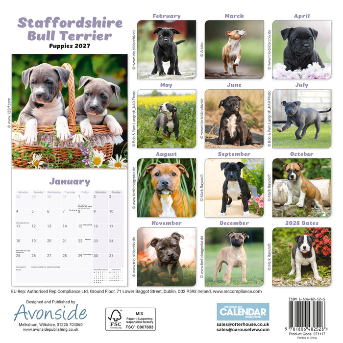 Staffordshire Bull Puppies 2027 Mini Wall Calendar
