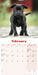 Staffordshire Bull Puppies 2027 Mini Wall Calendar