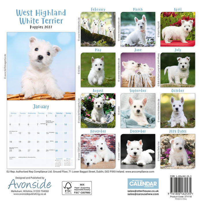 West Highland Terrier Puppies 2027 Mini Wall Calendar