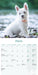 West Highland Terrier Puppies 2027 Mini Wall Calendar