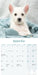 West Highland Terrier Puppies 2027 Mini Wall Calendar