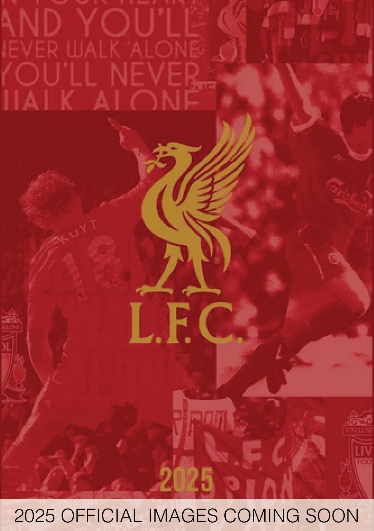 Calendar Club 2025 Liverpool FC A5 Diary