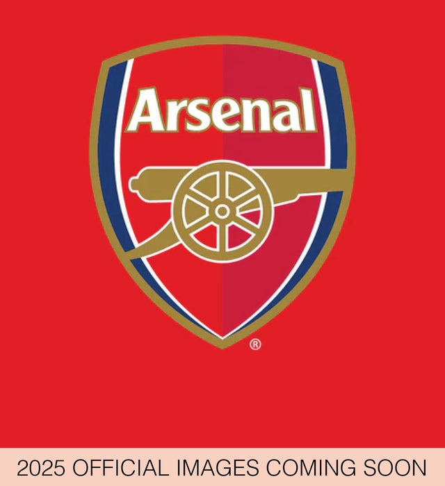 2025 Arsenal FC Desk Easel Calendar