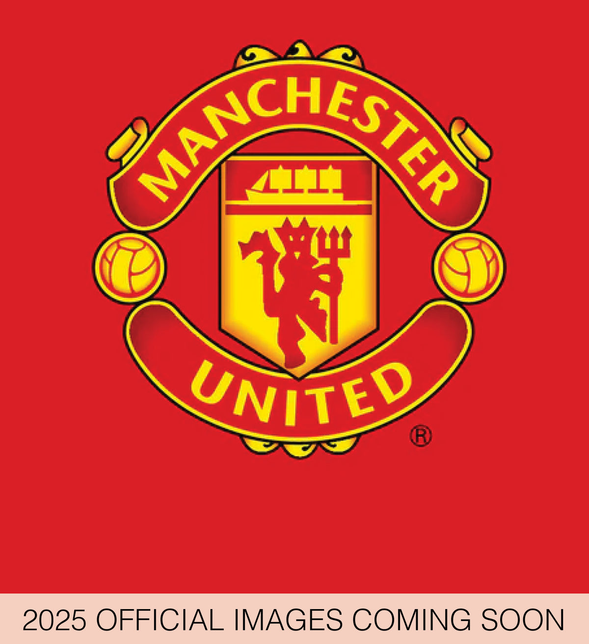 Calendar Club 2025 Manchester United FC Desk Easel Calendar