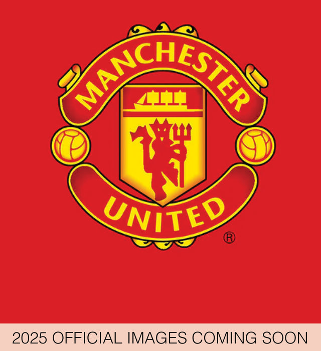 2025 Manchester United FC Desk Easel Calendar by  Danilo Promotions from Calendar Club