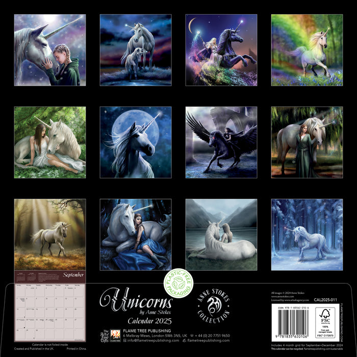 2025 Unicorns by Anne Stokes Wall Calendar by  Flame Tree Publishing from Calendar Club