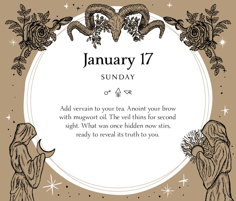 Witch Calendar Daily Magick 2027 Page-A-Day Calendar
