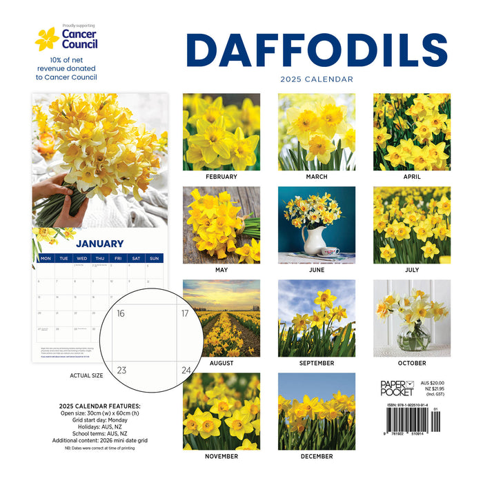 2025 Daffodil Cancer Council Wall Calendar